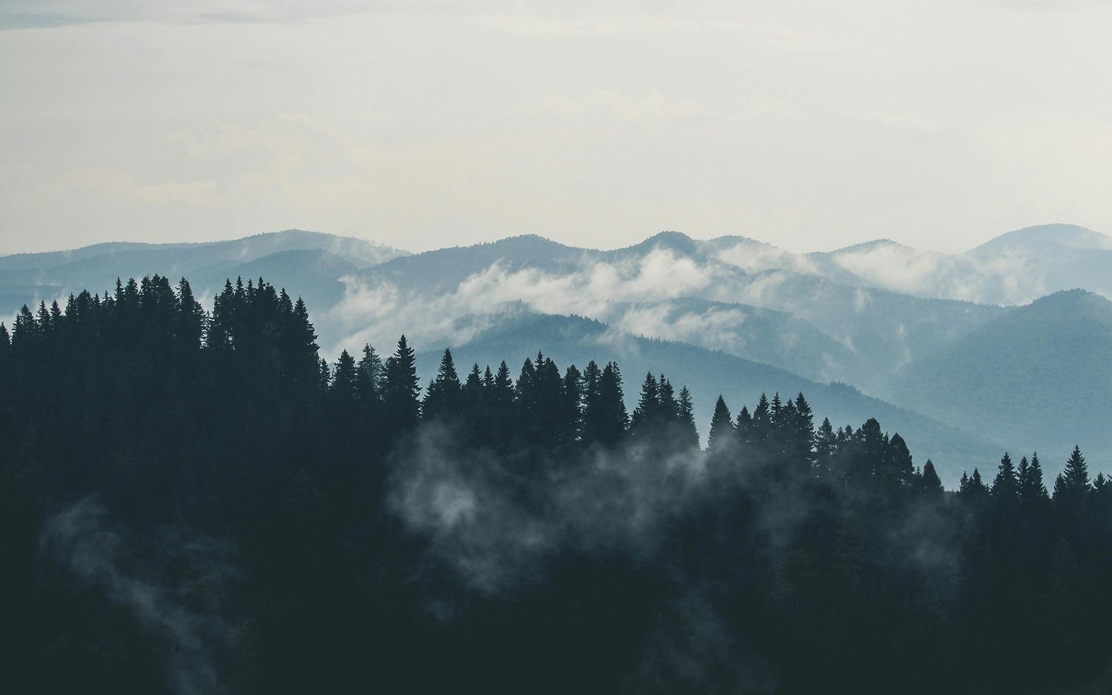 A scenic view of misty mountains and dense forest, perfect for nature lovers.